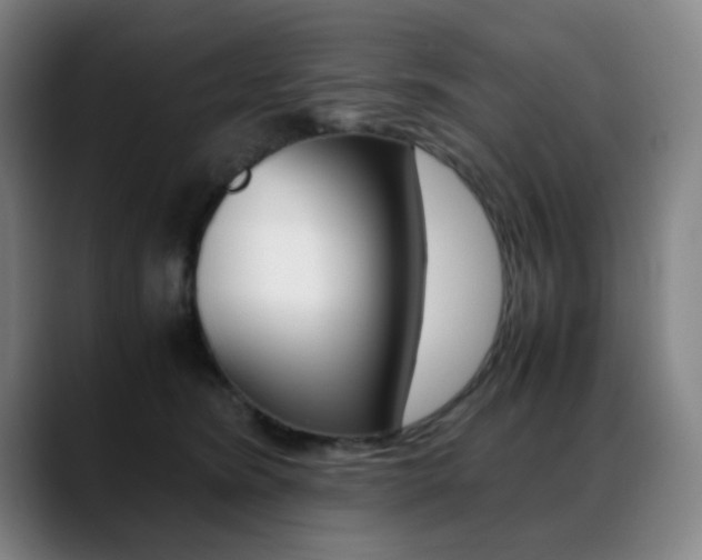 X0000089360420200706150827