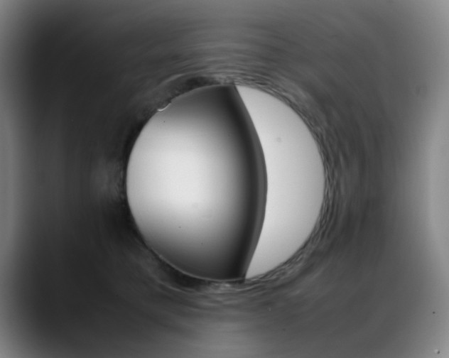 X0000089360421200706150827