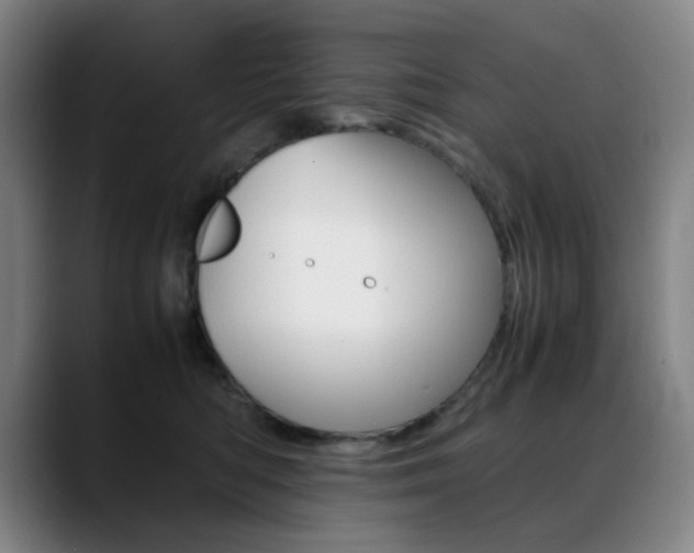 X0000089360422200706150827