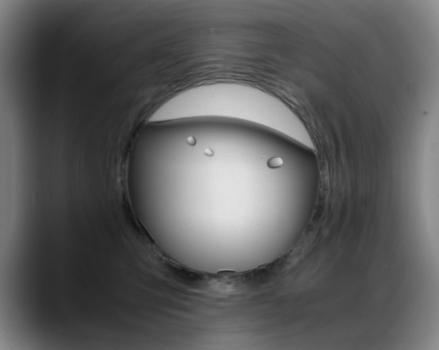 X0000089360423200706150827
