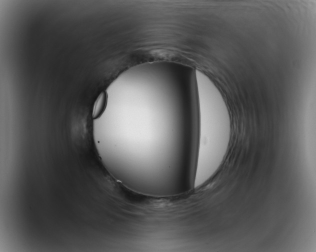 X0000089360424200706150827