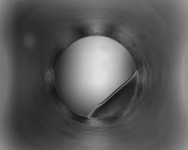 X0000089360425200706150827
