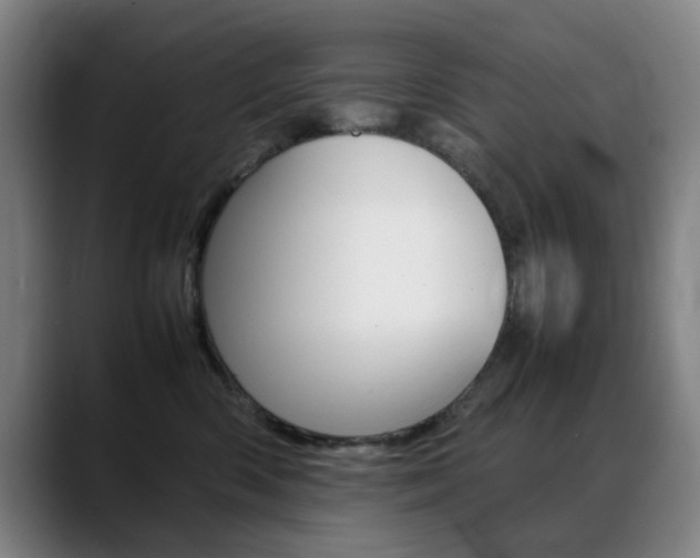 X0000089360426200706150827