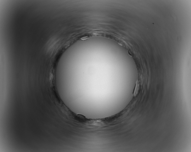 X0000089360427200706150827
