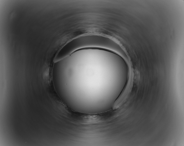 X0000089360428200706150827