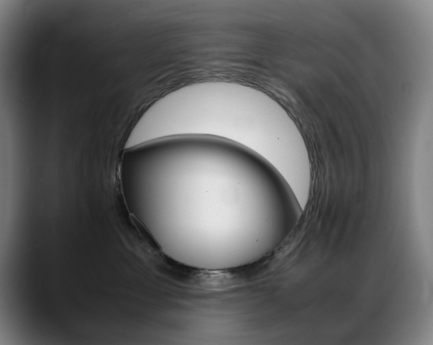 X0000089360429200706150827