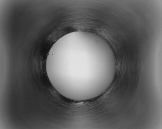 X0000089360430200706150827