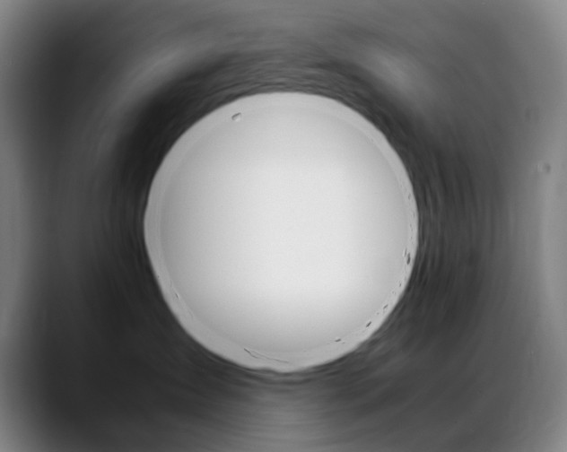X0000089360431200706150827