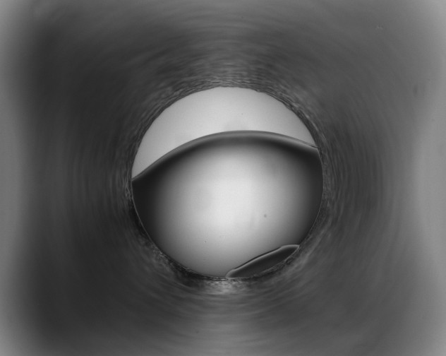 X0000089360432200706150827
