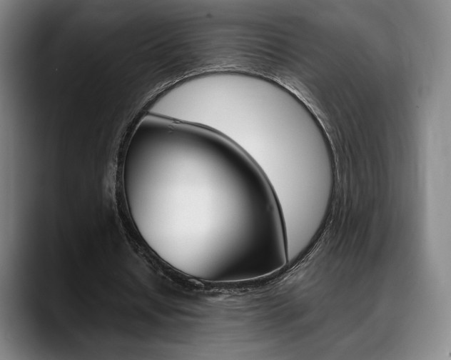 X0000089360434200706150826