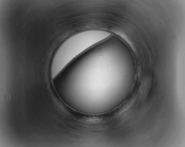 X0000089360445200706150826