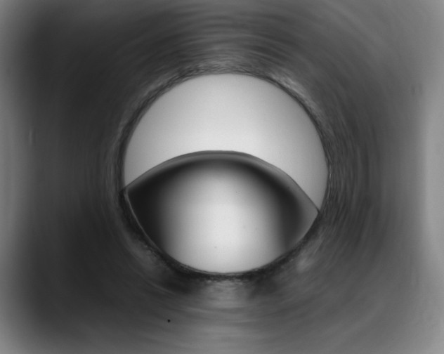 X0000089360446200706150826
