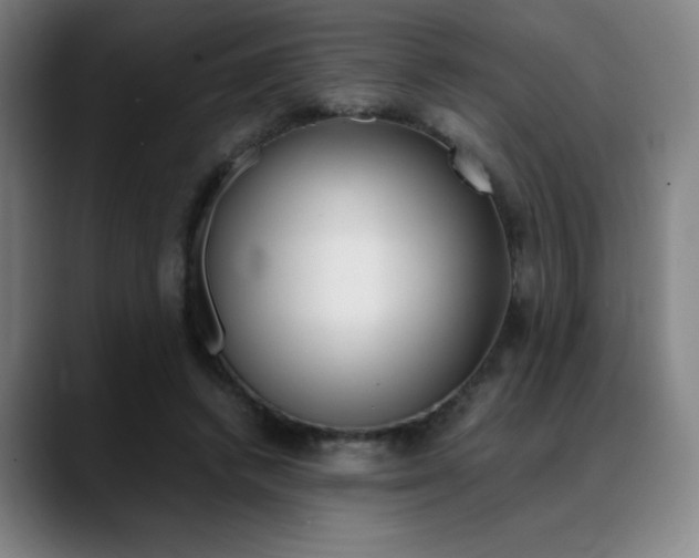 X0000089360448200706150826