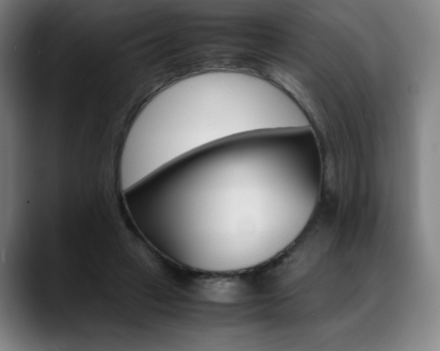 X0000089360449200706150826