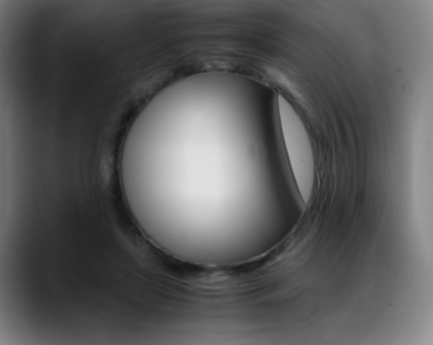 X0000089360451200706150826