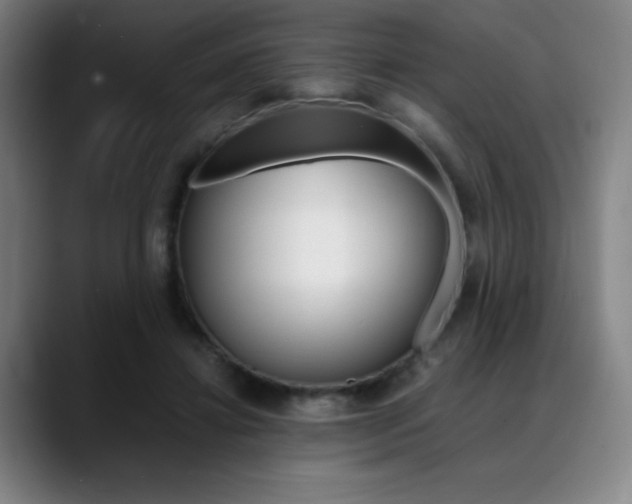 X0000089360452200706150826