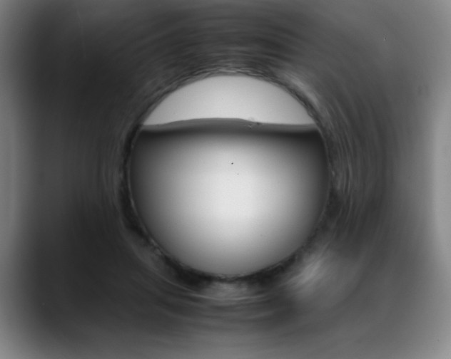 X0000089360455200706150826