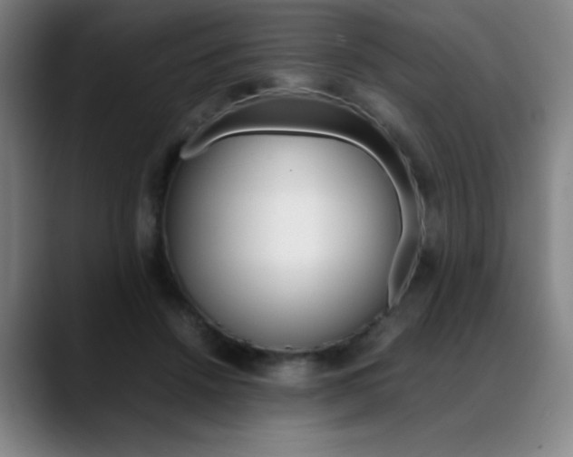 X0000089360456200706150826