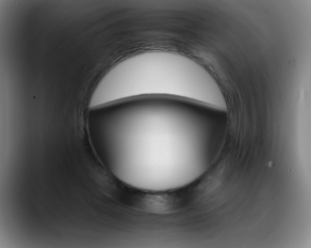 X0000089360457200706150826