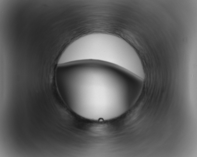 X0000089360458200706150826