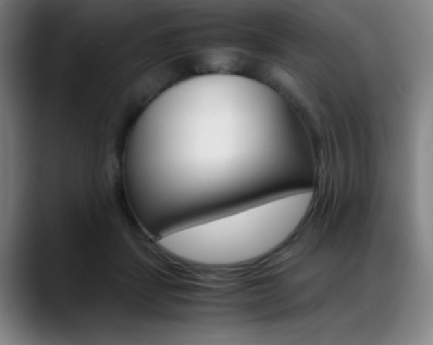 X0000089360459200706150826