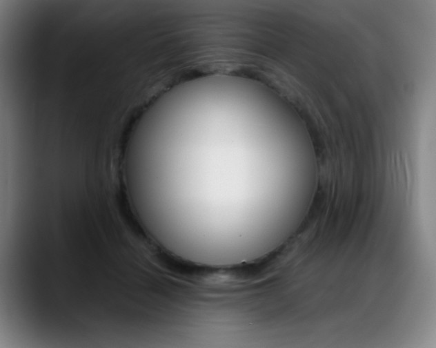 X0000089360460200706150826