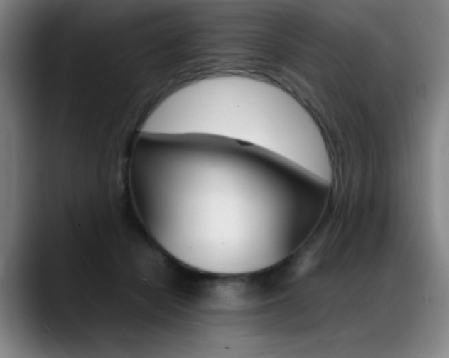 X0000089360462200706150826