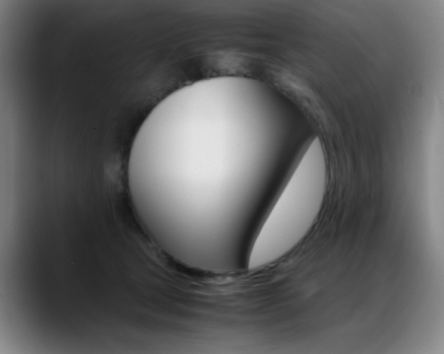 X0000089360465200706150827