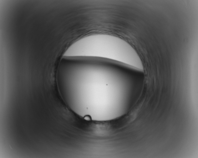 X0000089360466200706150827