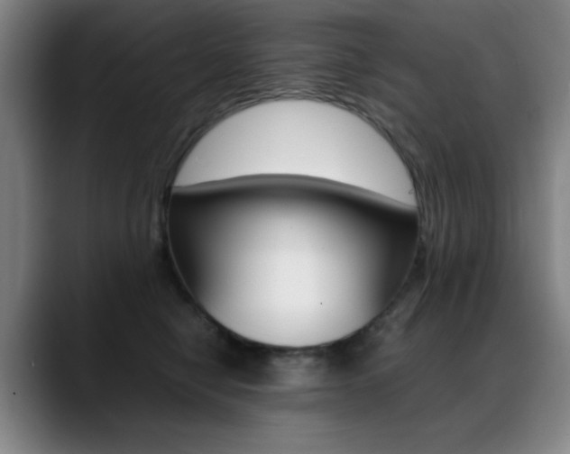 X0000089360470200706150827