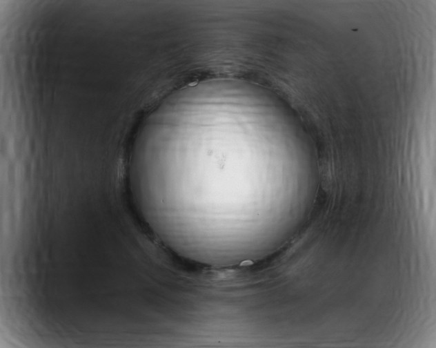 X0000089360472200706150827