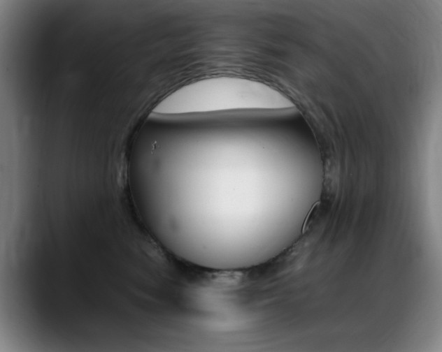 X0000089360474200706150827