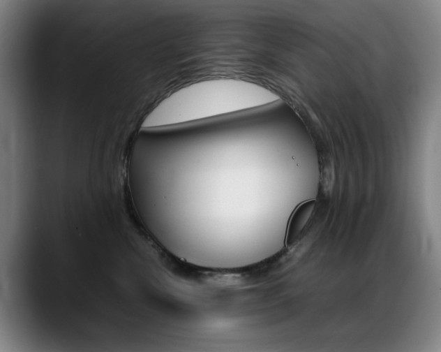 X0000089360476200706150827