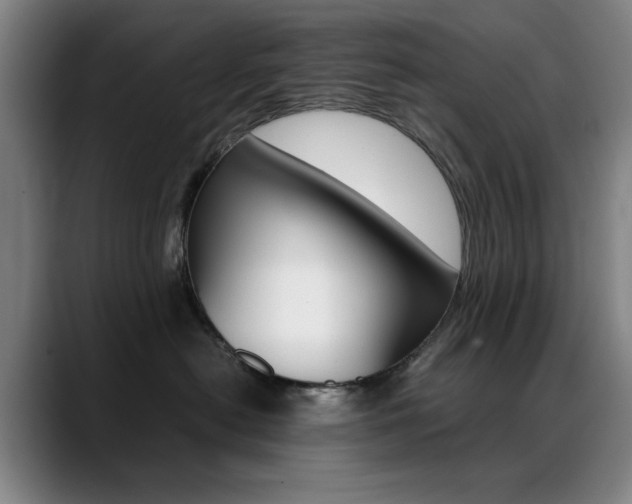 X0000089360478200706150827