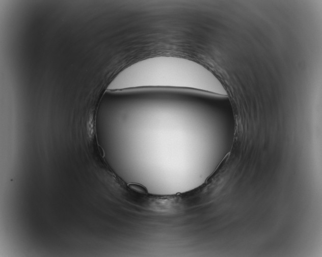 X0000089360479200706150827