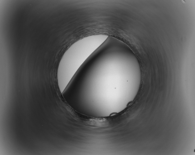 X0000089360480200706150827