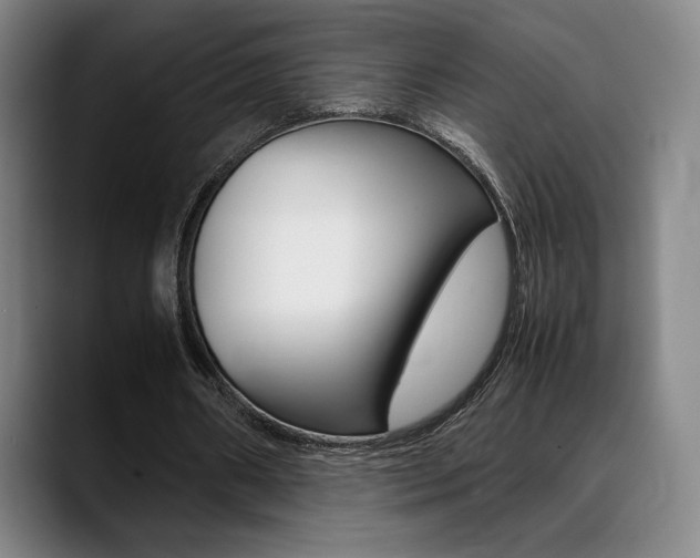 X0000089360482200706150826