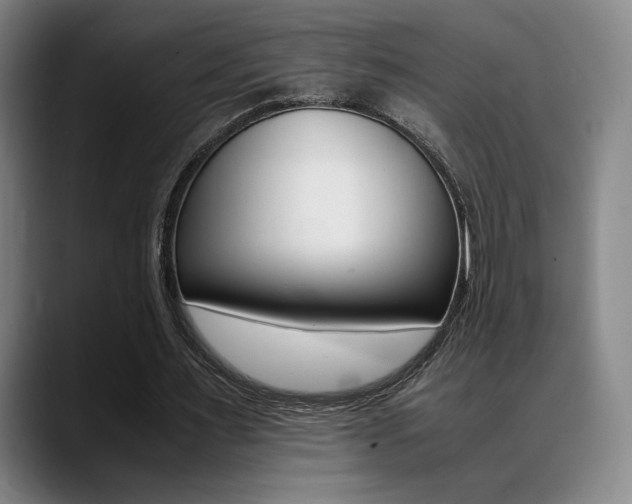 X0000089360483200706150826