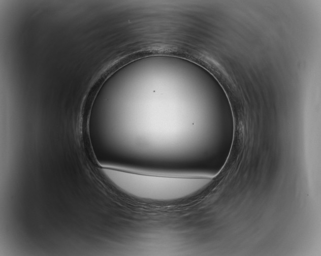 X0000089360484200706150826