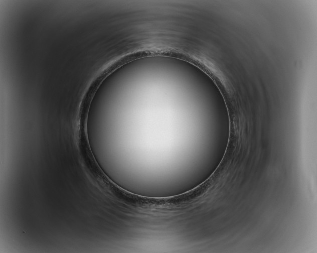 X0000089360488200706150826