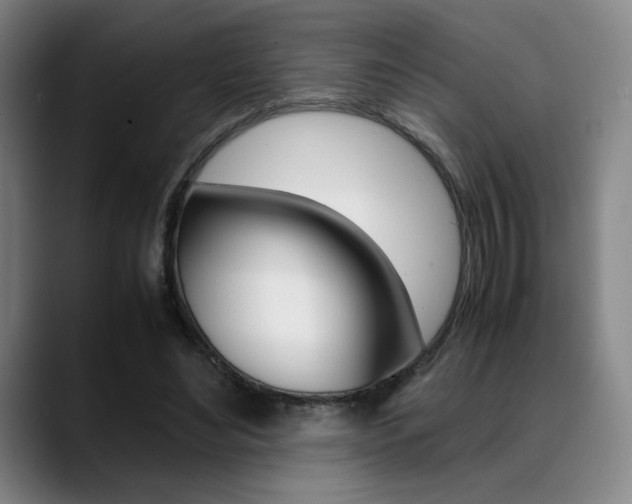 X0000089360492200706150826