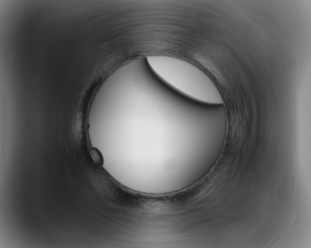 X0000089360494200706150826