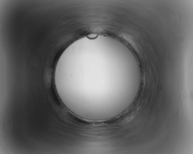 X0000089360495200706150826