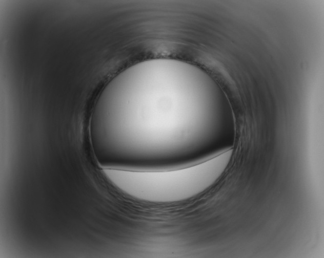 X0000089360496200706150826