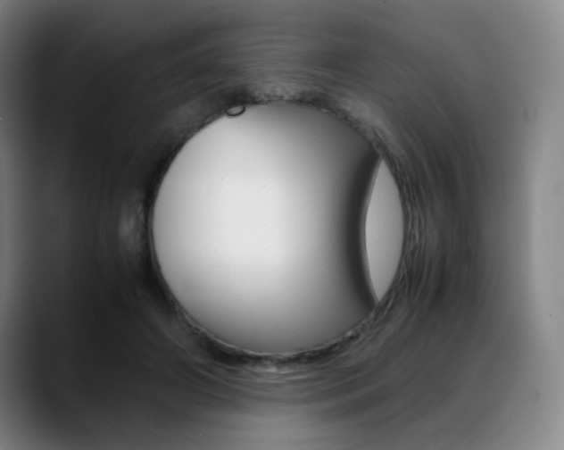 X0000089360498200706150826