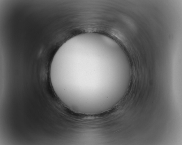 X0000089360499200706150826