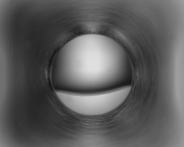 X0000089360500200706150826
