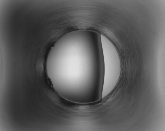 X0000089360501200706150826