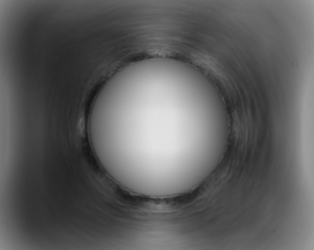 X0000089360502200706150826