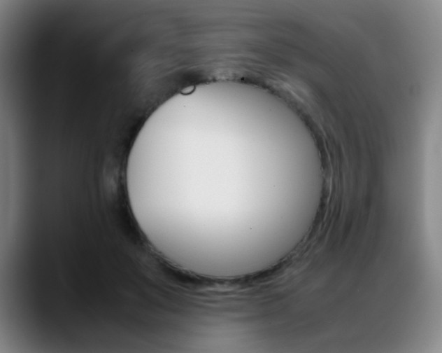 X0000089360503200706150826